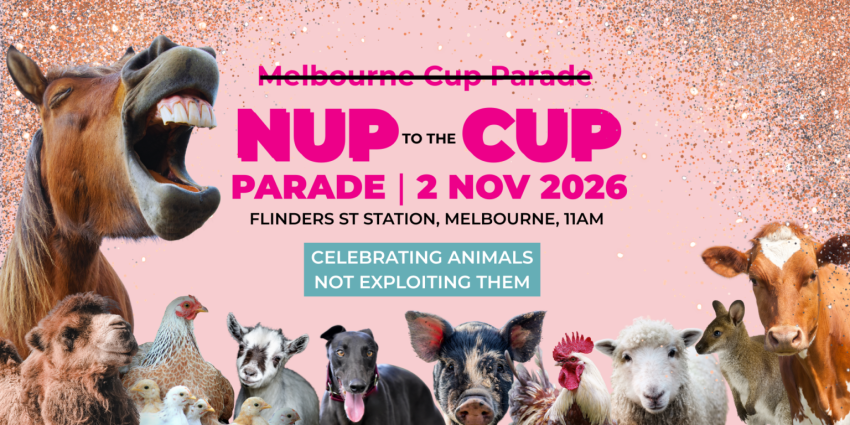 Artwork and image for event "NUP to the Cup PARADE 2026" 11am Flinders Street Station, Flinders St, Naarm VIC 3000