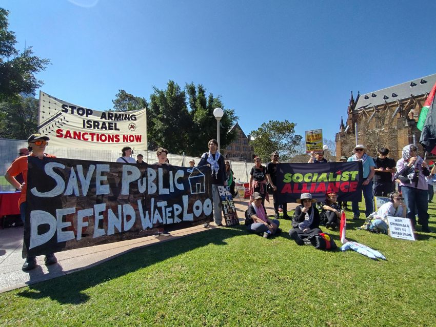 housing and palestine activists 