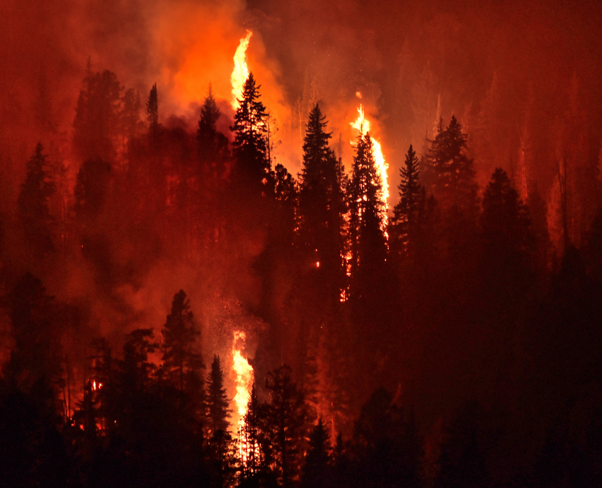forest fire