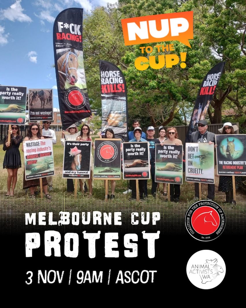 Artwork and image for event " Perth says Nup to the Melbourne Cup!" Ascot Racecourse, 71 Grandstand Rd, Ascot WA 6104