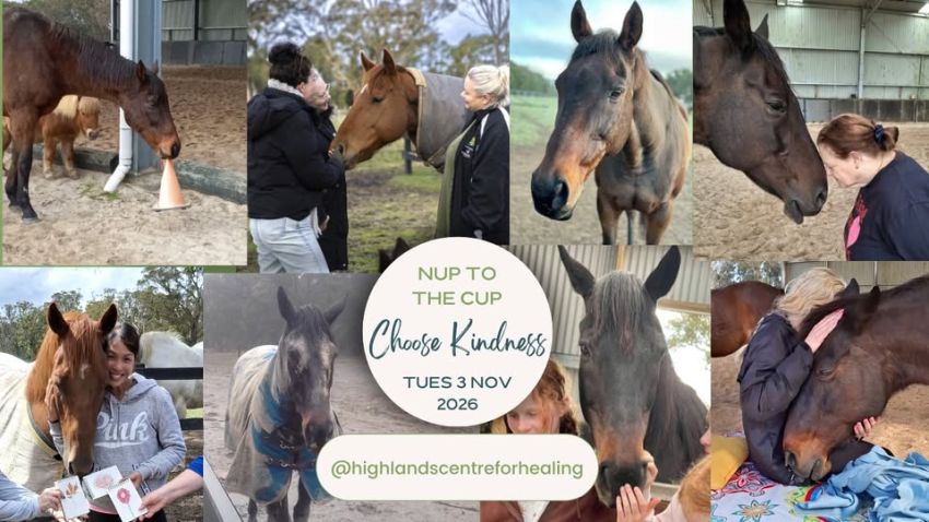 Artwork and image for event "Nup To The Cup ~ Choose Kindness" 12pm-2pm 03/11/2026 Highlands Centre For Healing, 674 Nowra Rd, Moss Vale NSW 2577