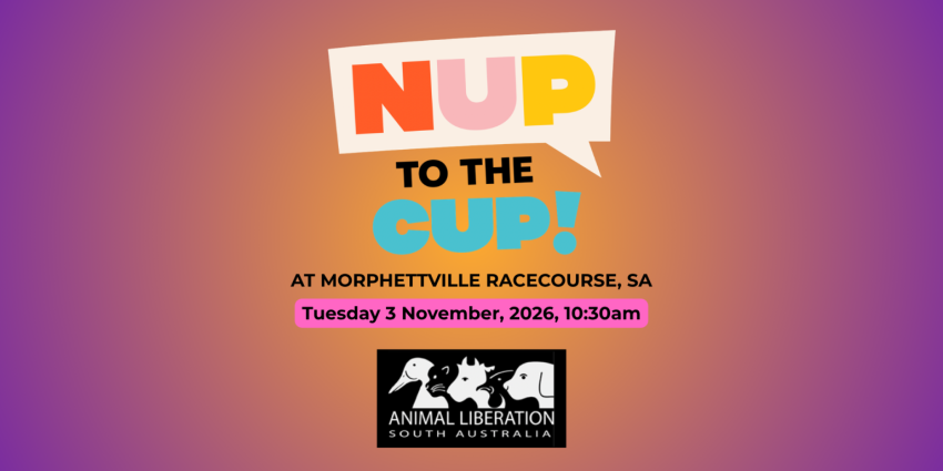 Artwork and image for event "Nup To The Cup: Adelaide Protest 2026" 10:30am 03/11/2026 Morphettville Racecourse, Morphett Rd, Morphettville SA 5043