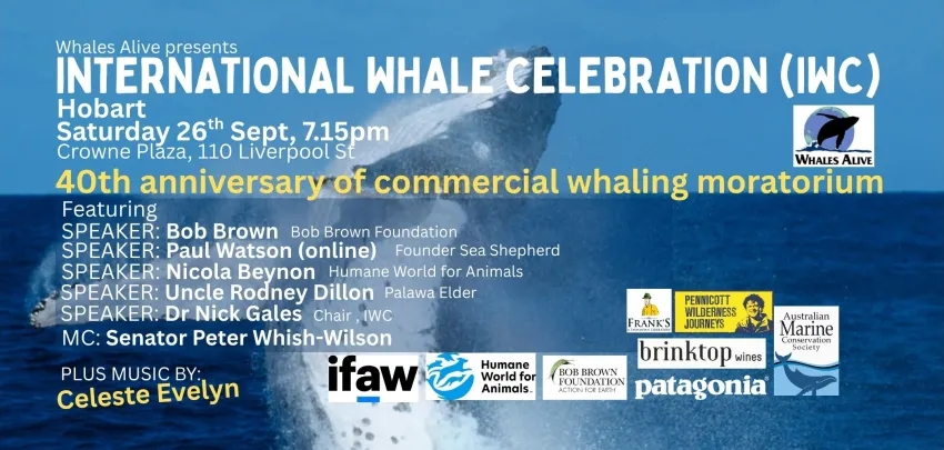 Artwork and image for event "International Whale Celebration" 7:15pm 26/09/2026 Crowne Plaza Hobart, 110 Liverpool St, Nipaluna TAS 7000