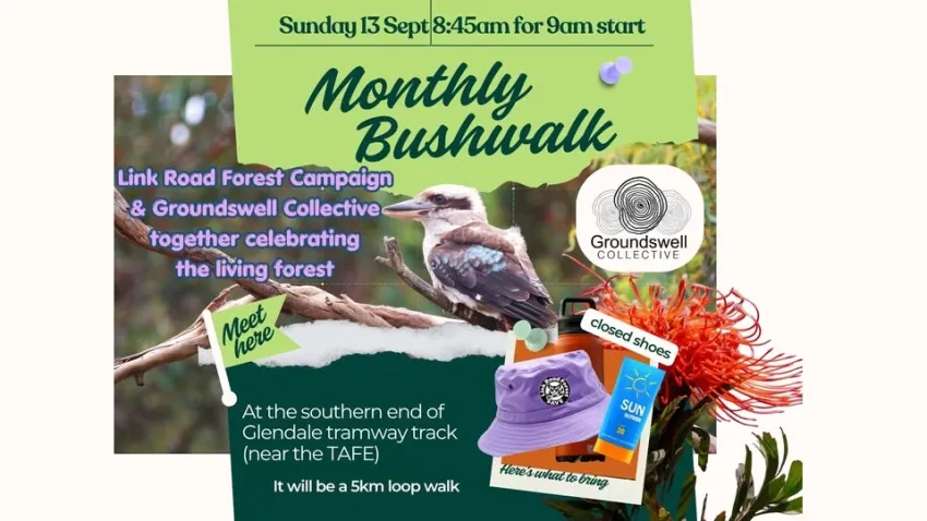 Artwork and image for event "Bush Walk – The Groundswell Collective & Save Link Road Forest" 8:45am-11am 13/09/26 Tramway Track, Frederick St Glendale NSW 2285