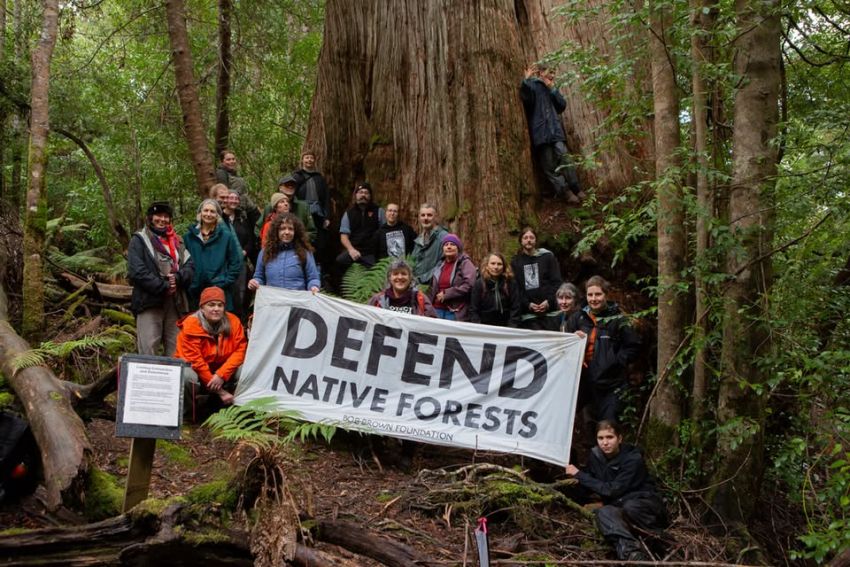 Native forest advocates with banner that says Defend Native Forests