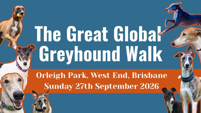 Artwork and image for event "The Great Global Greyhound Walk" 9:30am 27/09/2026 Orleigh Park, 68 Hill End Terrace, West End QLD 4101