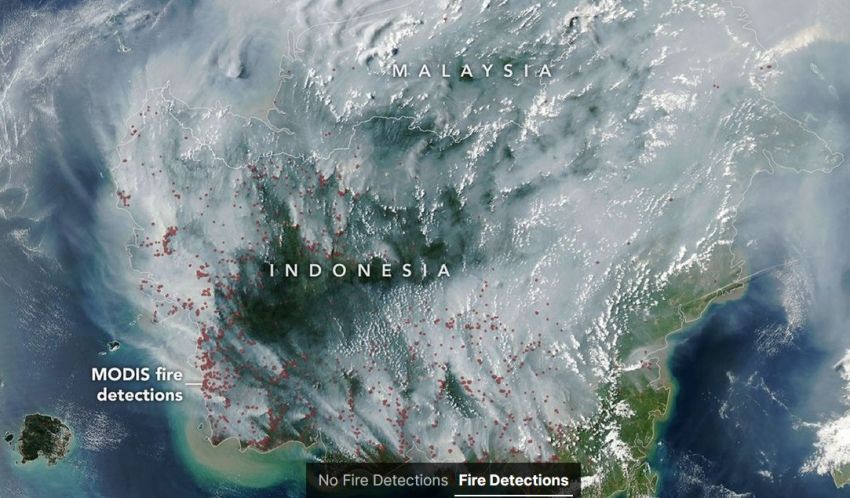satellite image of fires in Indonesia