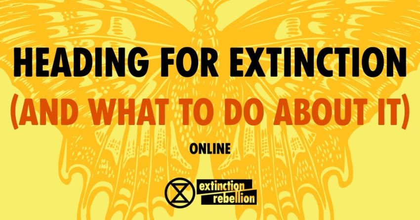 Artwork and image for Extinction Rebellion's info session "Heading for Extinction (and what to do about it)"
