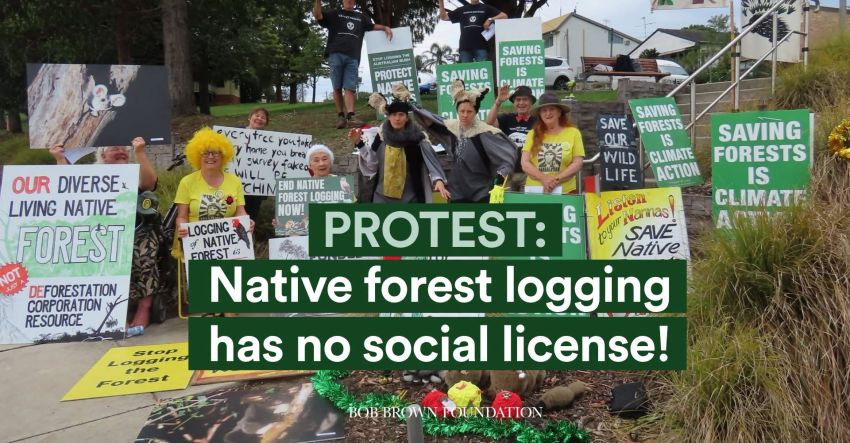 Artwork and image for event "Protest: Logging has no social license! Batemans Bay" 8am 08/10/2026 7 Old Princes Hwy, Batemans Bay NSW 2536