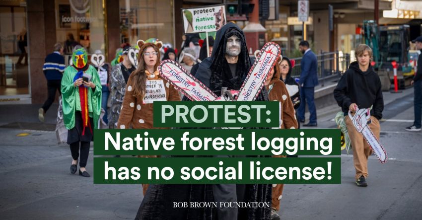 Artwork and image for event "Protest: Native forest logging has no social license!"