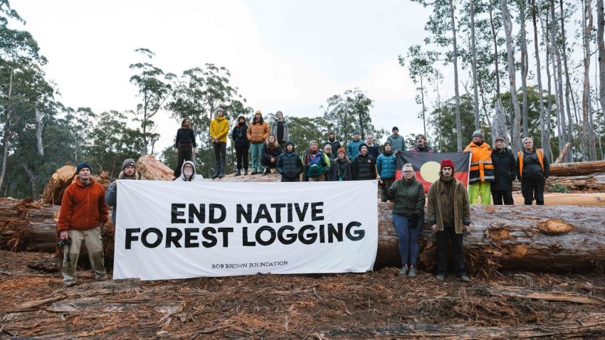 Bob Brown Foundation protest against native forest logging, group photo of activits holding a banner that says End Native Forest Logging