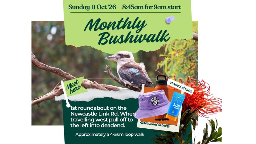 Artwork and image for event "Link Road Forest Monthly Bushwalk" 8:45am 11/10/2026