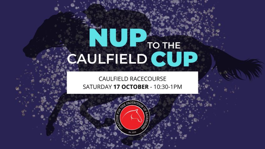 Artwork and image for event "NUP to the Caulfield CUP!" 10:30am-1pm 17/10/2026 Caulfield Racecourse, Gate 2, Station St, Caulfield VIC 3145