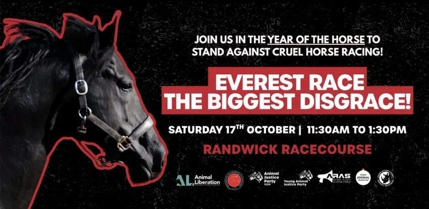 Artwork and image for event "Speak Up for the Horses: Say NO to The Everest" 11:30am-1:30pm, Royal Randwick Racecourse, Alison Rd, Randwick NSW 2031