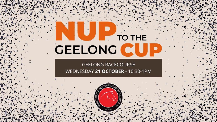 Artwork and image for event "Nup to the Geelong Cup 2026!" 10:30am-1pm 21/10/2026 Geelong Racecourse, 99 Breakwater Rd, Breakwater VIC 3219