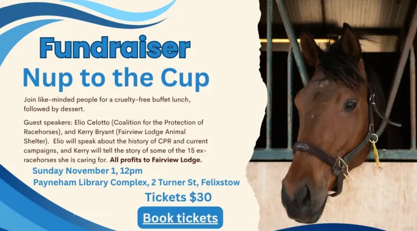 Artwork and image for event "SAFA Nup to the Cup Lunch" 12pm-3pm 01/11/2026 Payneham Library Complex, 2 Turner St, Felixstow, 5070