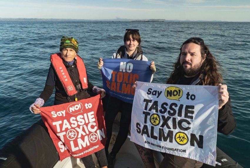 Bob Brown Foundation protest against salmon farming