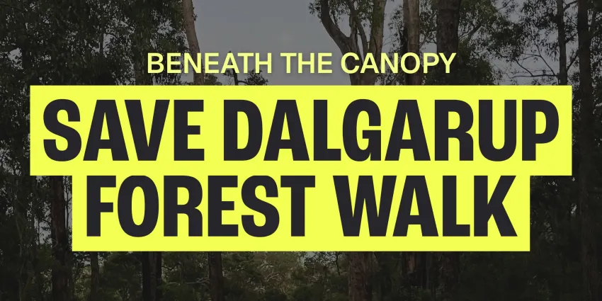 Artwork and image for event "Beneath the Canopy – Save Dalgarup Forest Walk" 9:15am 11/10/2026 Karri Gully Picnic area, Nannup WA 6275