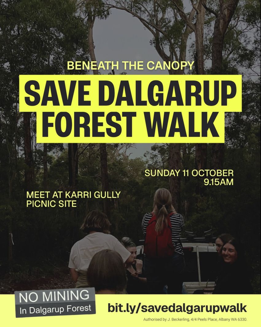 Artwork and image for event "Beneath the Canopy – Save Dalgarup Forest Walk" 9:15am 11/10/2026 Karri Gully Picnic area, Nannup WA 6275