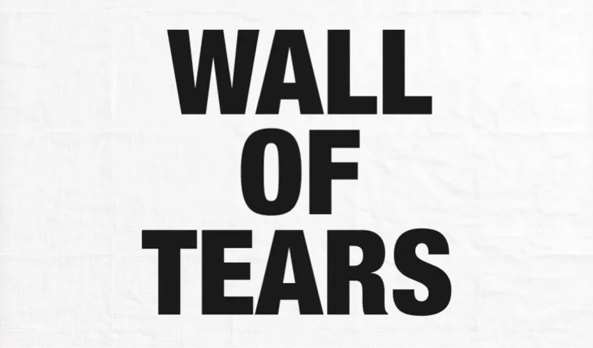 Image for artwork and exhibition The Wall of Tears