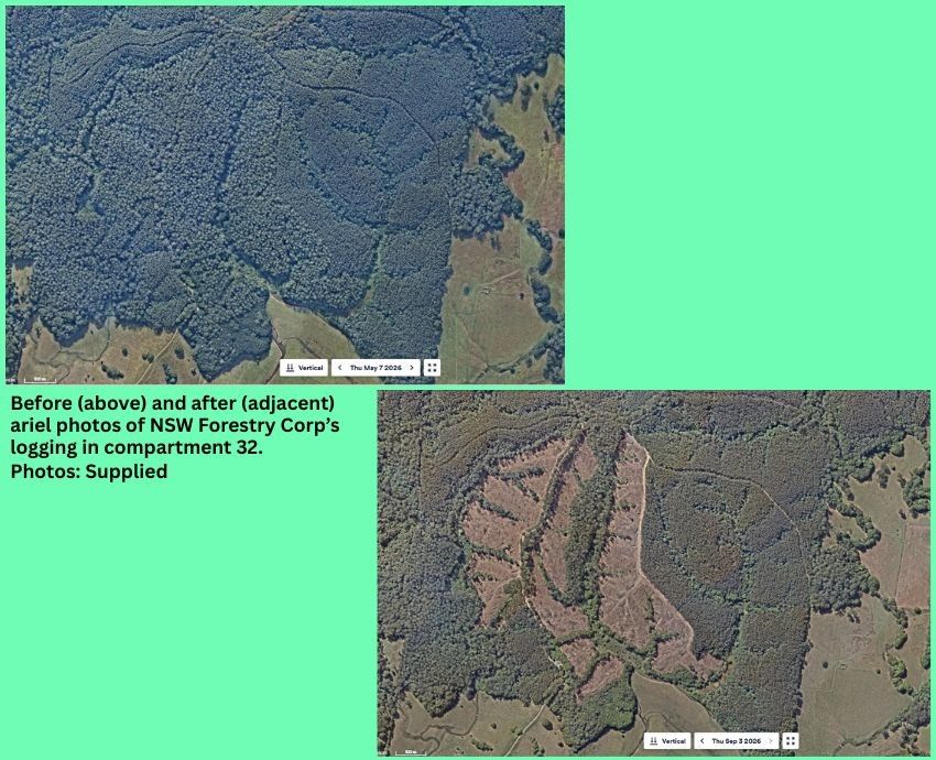 before and after logging