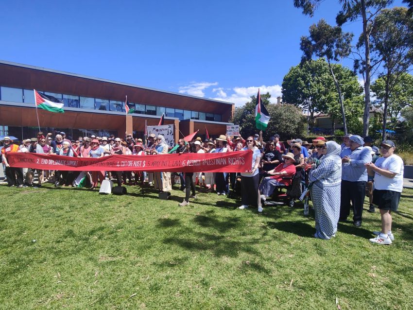 blue mountains for palestine 