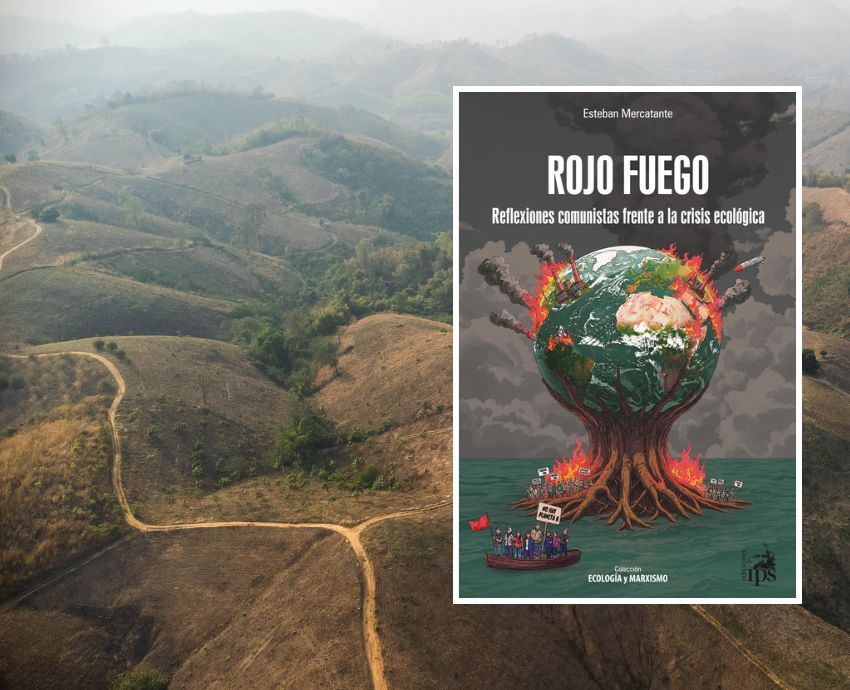 Esteban Mercatante book cover and cleared land