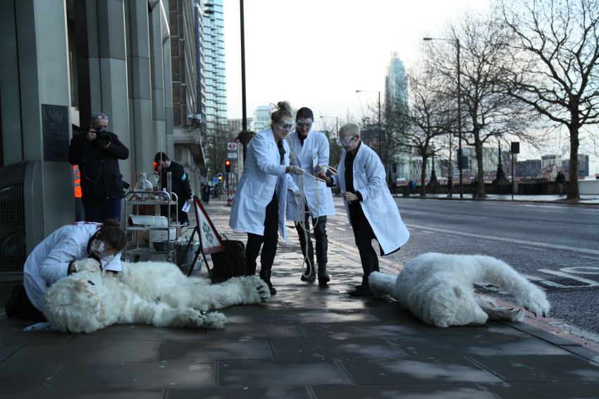 Arctic crime scene. Photo: Matt Mellen/ecohustler.com
