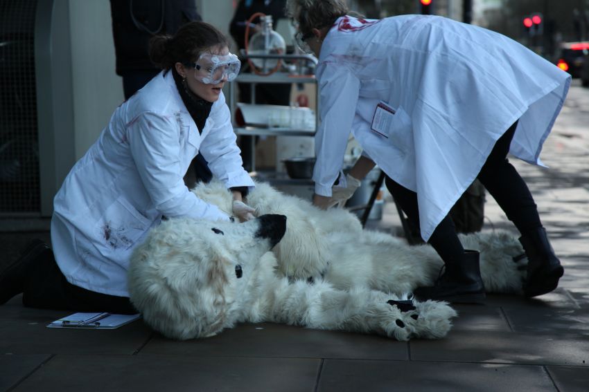 Arctic crime scene. Photo: Matt Mellen/ecohustler.com.
