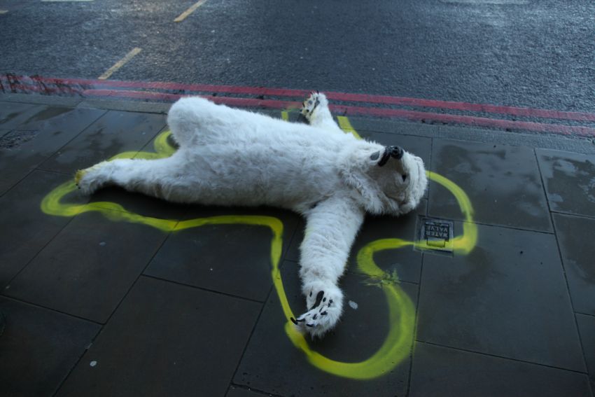 Arctic crime scene. Photo: Matt Mellen/ecohustler.com.