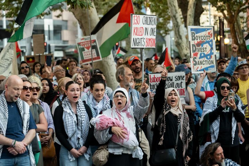 Protesters with flags and signs