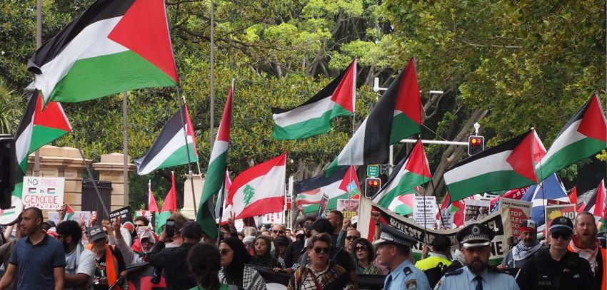 Rallying in Gadigal Country/Sydney, January 19
