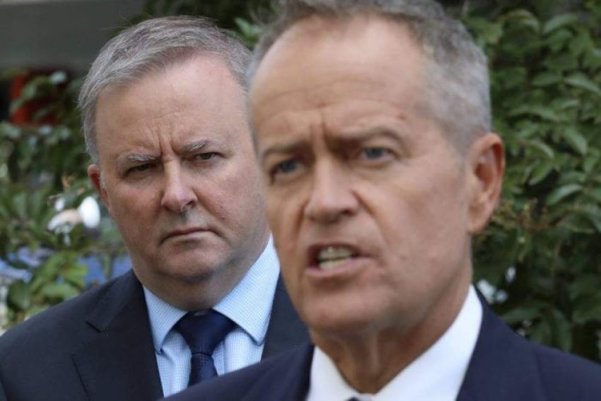 Anthony Albanese and Bill Shorten