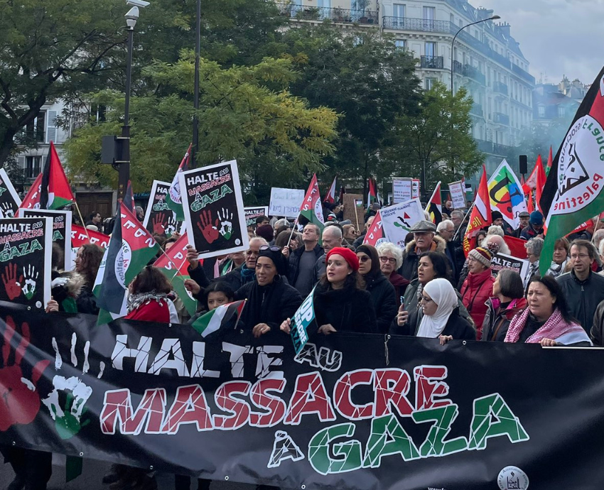 Paris protest for Palestine Nov 11