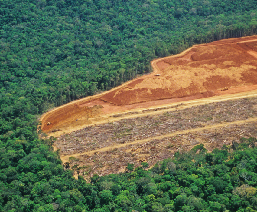 large area of forest logged and bulldozed
