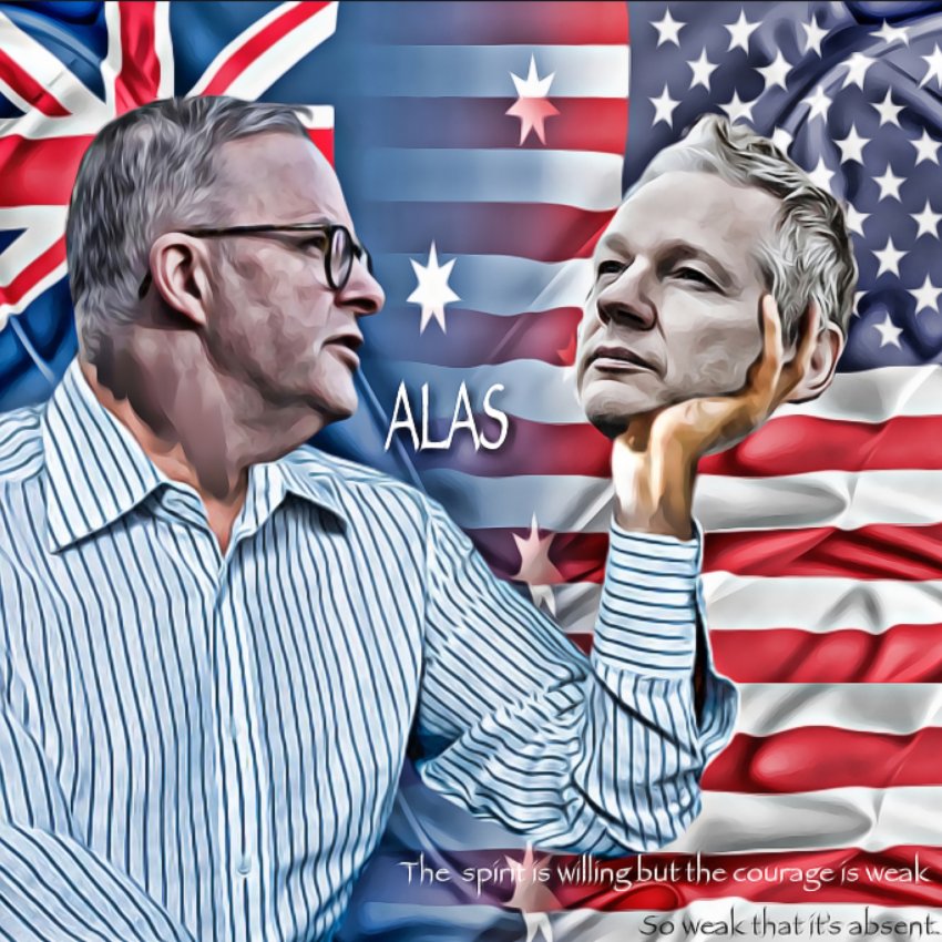 Anthony Albanese, Free Julian Assange