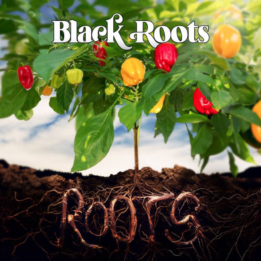 BLACK ROOTS - ROOTS album sleeve