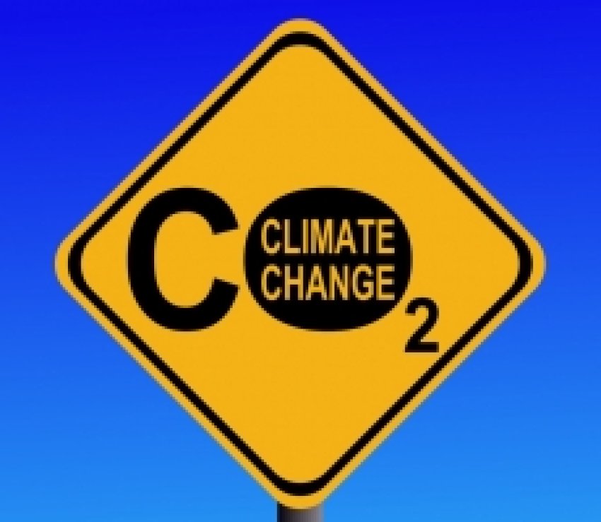 Carbon price road sign graphic.