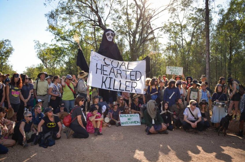 Leard State Forest protesters