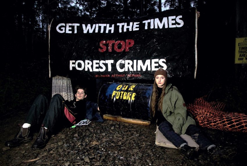 Young forest activists