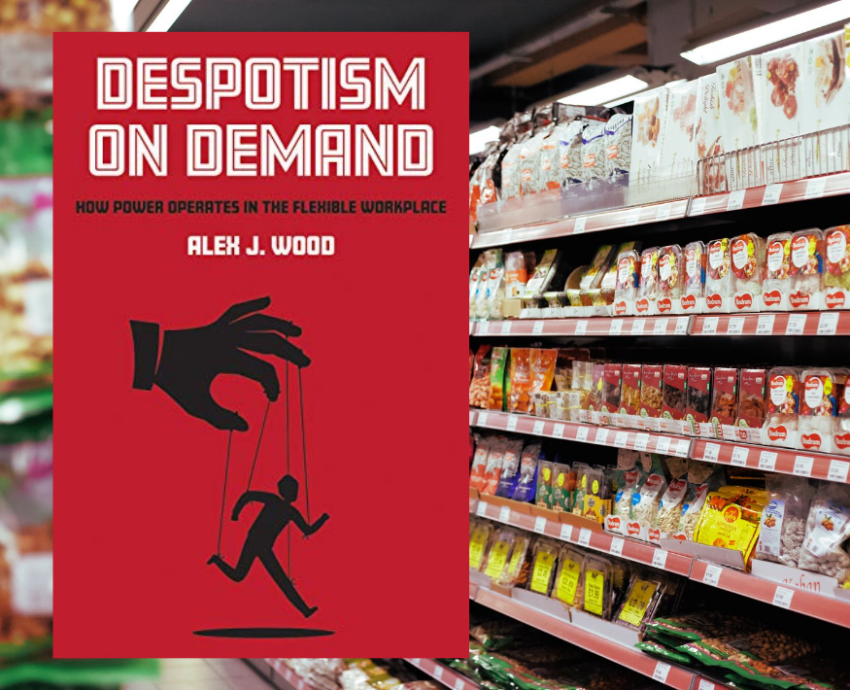despotism on demand book cover