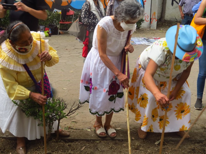 A symbolic planting ceremony was held between members of the convoy and original peoples in Xochimilco.