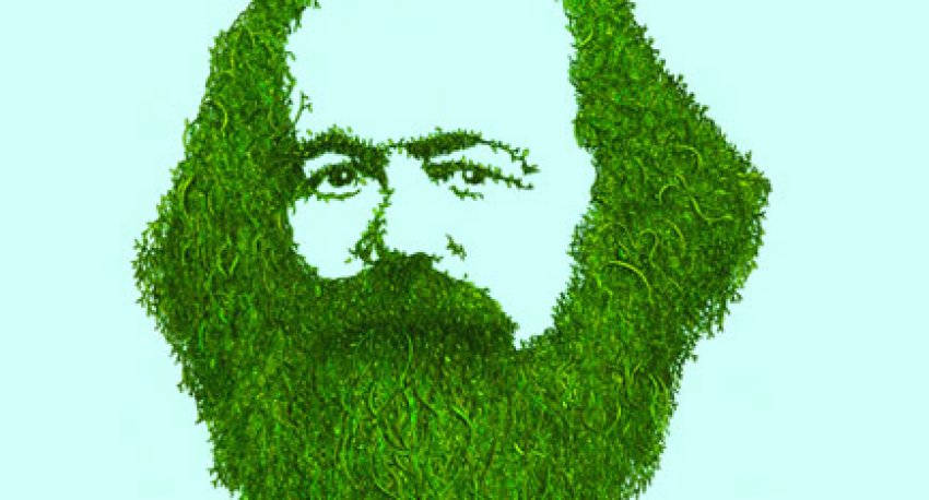 Mossy green Marx