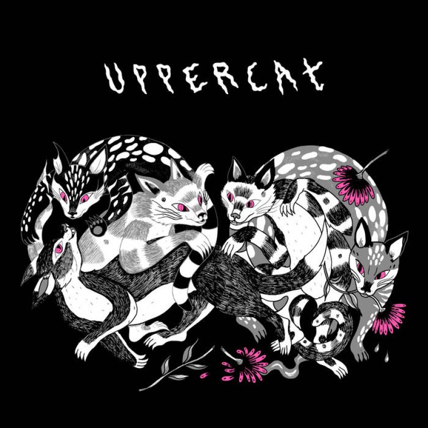 RADICAL KITTEN - UPPERCAT album sleeve