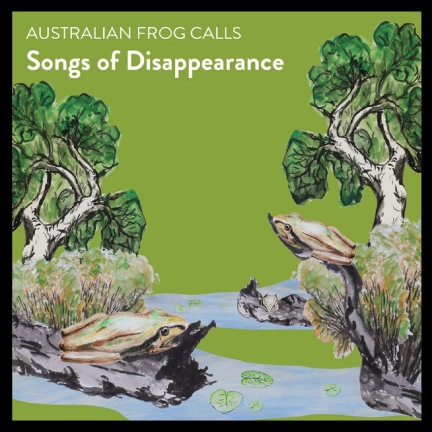 SONGS OF DISAPPEARANCE - AUSTRALIAN FROG CALLS album artwork