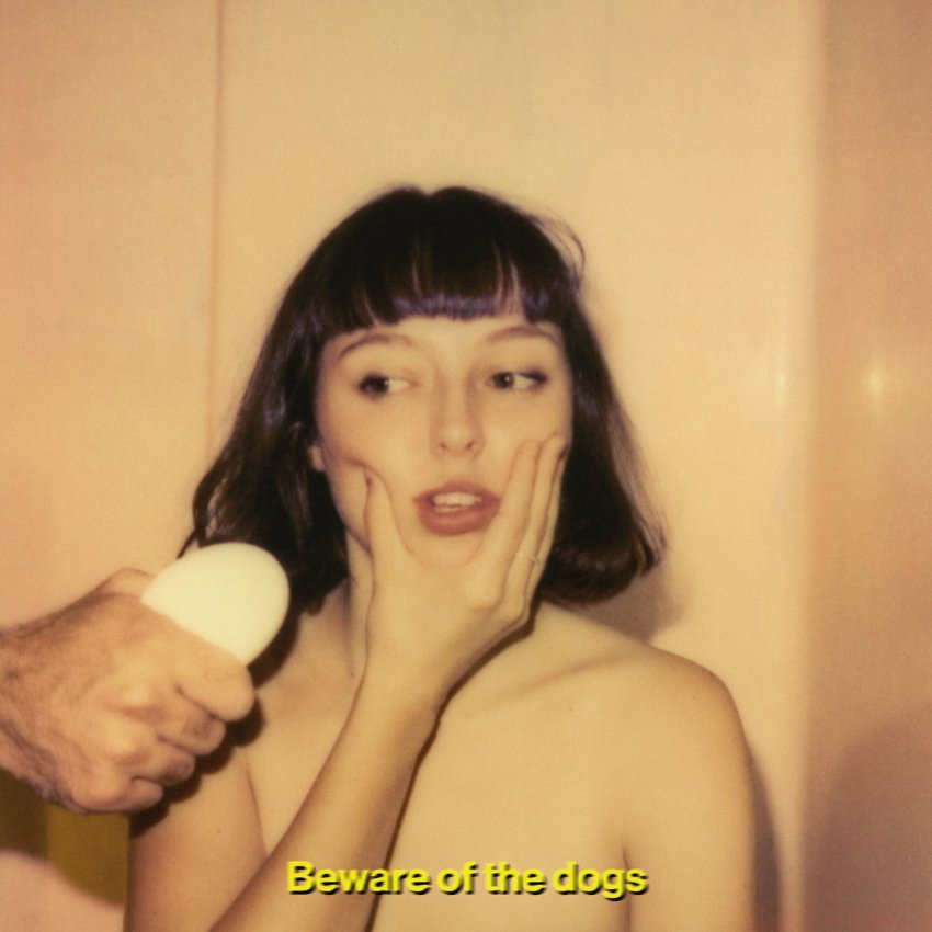 STELLA DONNELLY - BEWARE OF THE DOGS album artwork 