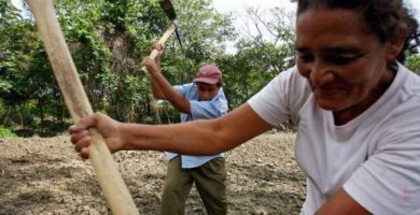 A Venezuelan food co-operative.