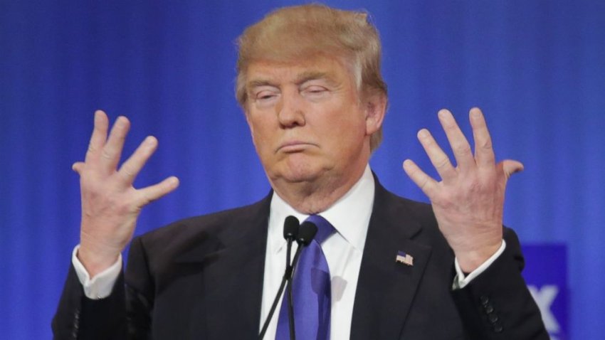 An orange baboon obsessed with the size of his hands.
