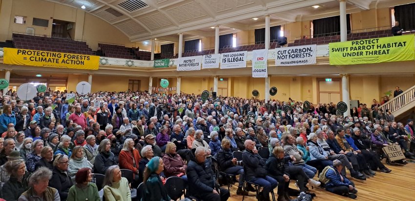 Huge crowds in nipaluna/Hobart