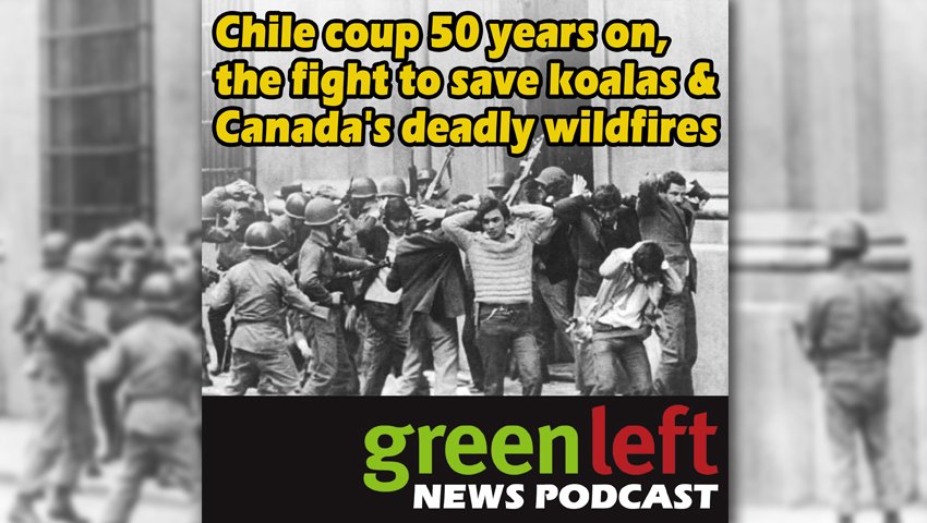 Chile coup 50 years on, the fight to save koalas & Canada’s deadly wildfires